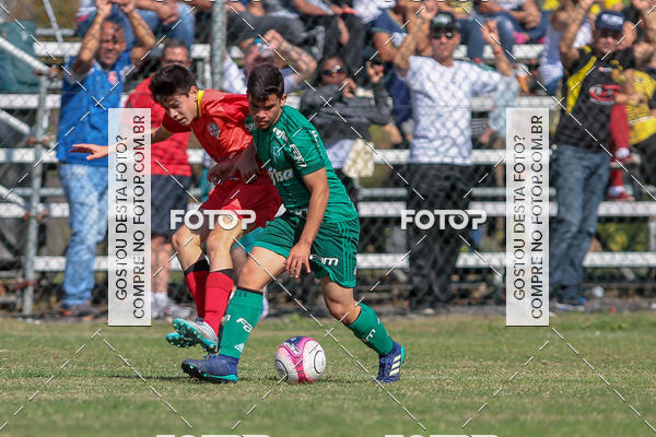 Buy your photos of the eventGr�mio Osasco x Palmeiras - SUB 11 e 13 on Fotop