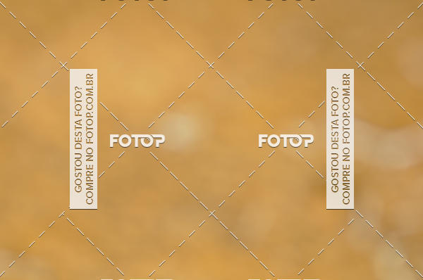 Buy your photos of the eventIII Kt� Trailrun - Cataguases on Fotop