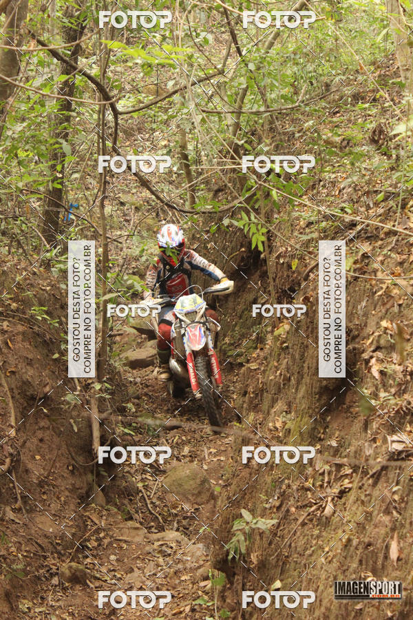 Buy your photos of the eventHard Enduro - Hell's Jungle  on Fotop