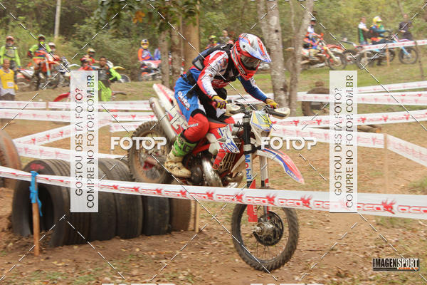 Buy your photos of the eventHard Enduro - Hell's Jungle  on Fotop