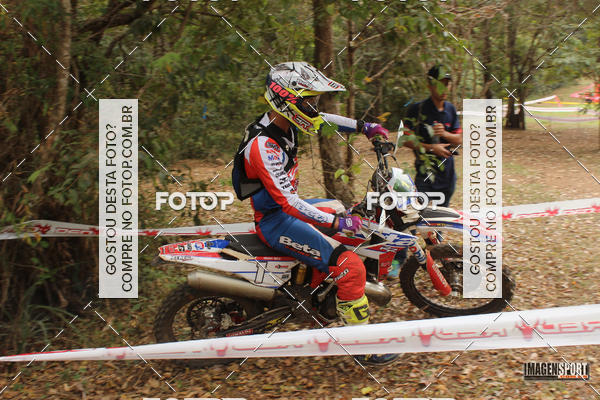 Buy your photos of the eventHard Enduro - Hell's Jungle  on Fotop