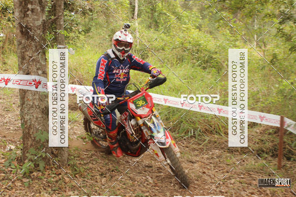 Buy your photos of the eventHard Enduro - Hell's Jungle  on Fotop