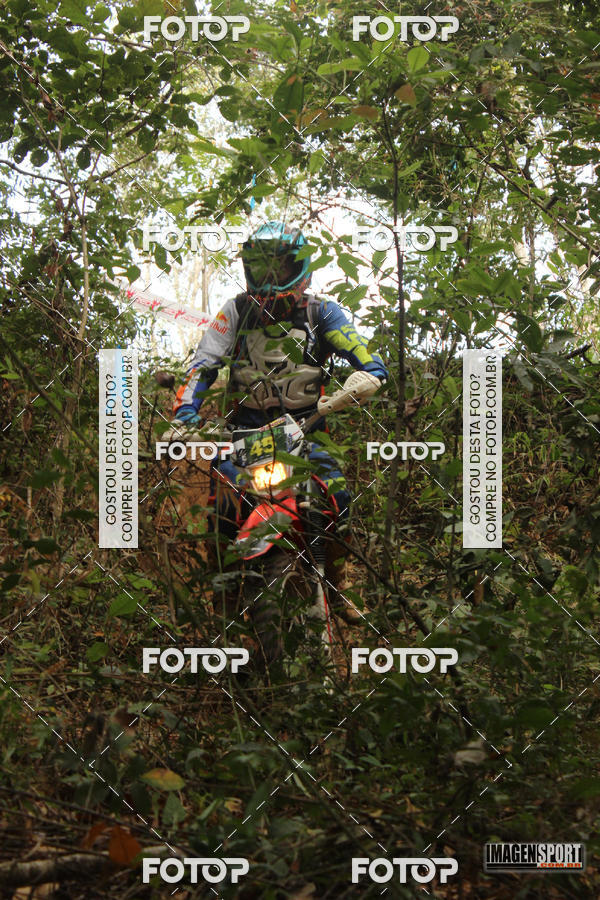 Buy your photos of the eventHard Enduro - Hell's Jungle  on Fotop