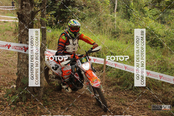 Buy your photos of the eventHard Enduro - Hell's Jungle  on Fotop