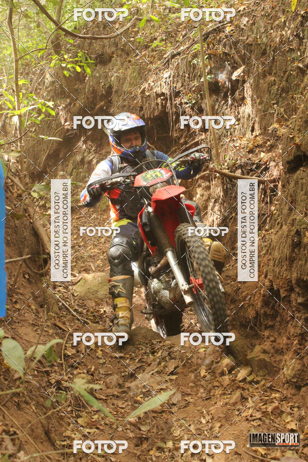 Buy your photos of the eventHard Enduro - Hell's Jungle  on Fotop