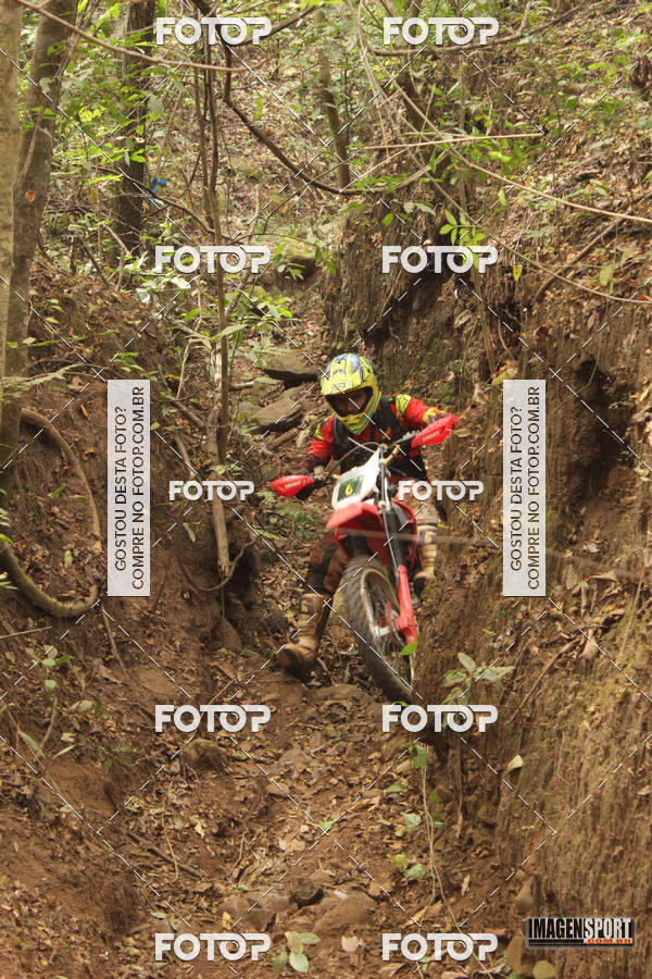 Buy your photos of the eventHard Enduro - Hell's Jungle  on Fotop