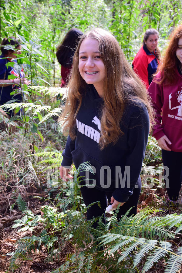 Buy your photos of the eventNR2 - Cl�ssico 21 a 24/06/18 on Fotop