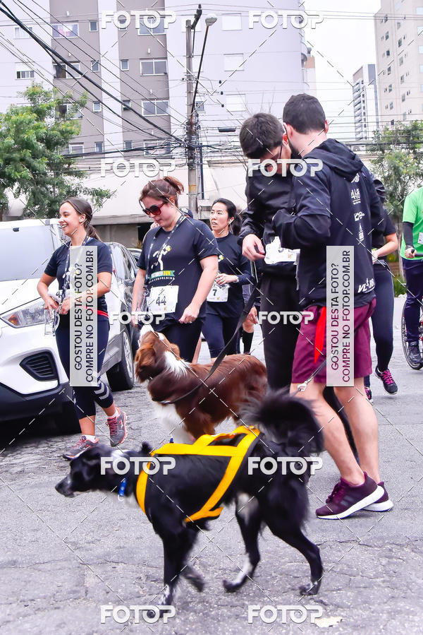 Buy your photos of the eventOktobeer Run 5km - Vila Leopoldina on Fotop