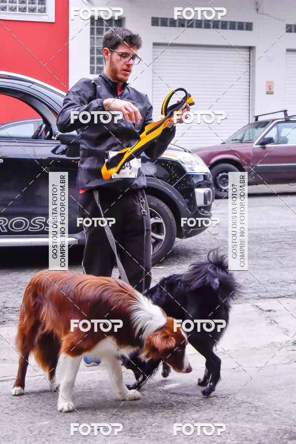 Buy your photos of the eventOktobeer Run 5km - Vila Leopoldina on Fotop