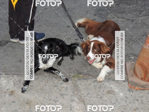 Buy your photos of the eventOktobeer Run 5km - Vila Leopoldina on Fotop