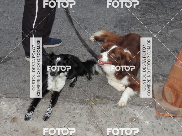 Buy your photos of the eventOktobeer Run 5km - Vila Leopoldina on Fotop