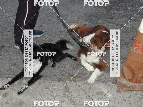 Buy your photos of the eventOktobeer Run 5km - Vila Leopoldina on Fotop