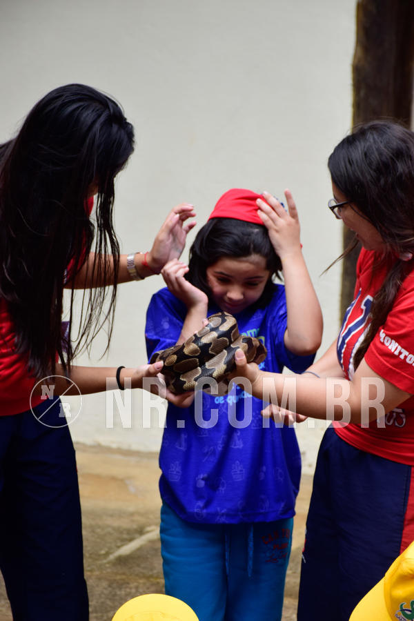 Buy your photos of the eventNR1 - Cl�ssico de 21 a 24/06/18 on Fotop