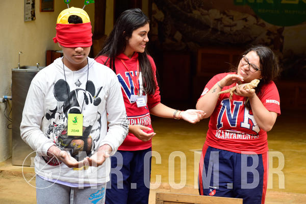 Buy your photos of the eventNR1 - Cl�ssico de 21 a 24/06/18 on Fotop