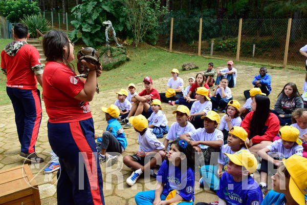 Buy your photos of the eventNR1 - Cl�ssico de 21 a 24/06/18 on Fotop