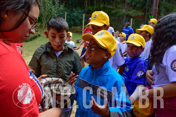 Buy your photos of the eventNR1 - Cl�ssico de 21 a 24/06/18 on Fotop