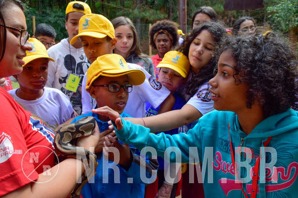 Buy your photos of the eventNR1 - Cl�ssico de 21 a 24/06/18 on Fotop