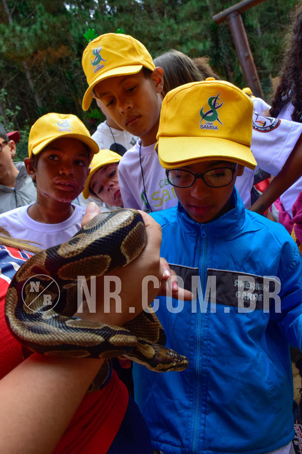 Buy your photos of the eventNR1 - Cl�ssico de 21 a 24/06/18 on Fotop