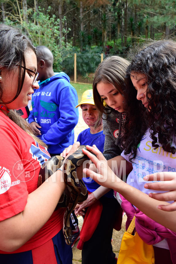 Buy your photos of the eventNR1 - Cl�ssico de 21 a 24/06/18 on Fotop