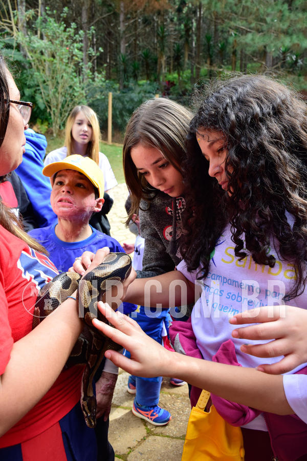 Buy your photos of the eventNR1 - Cl�ssico de 21 a 24/06/18 on Fotop