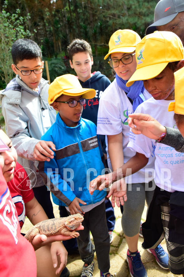 Buy your photos of the eventNR1 - Cl�ssico de 21 a 24/06/18 on Fotop