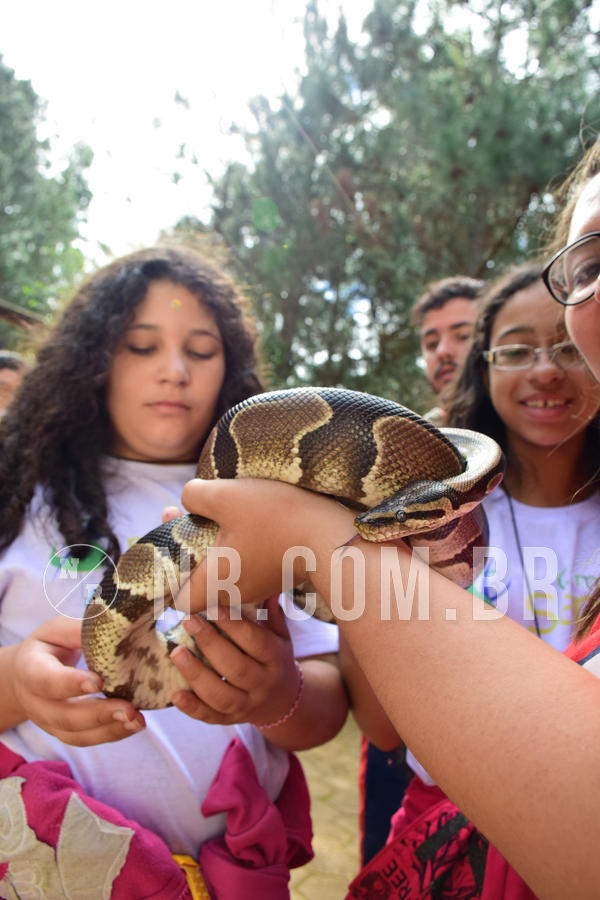 Buy your photos of the eventNR1 - Cl�ssico de 21 a 24/06/18 on Fotop
