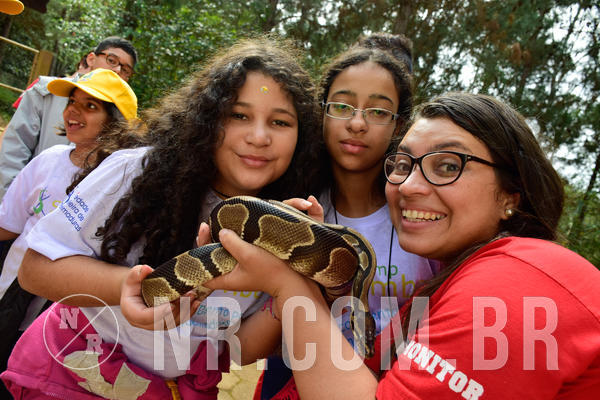 Buy your photos of the eventNR1 - Cl�ssico de 21 a 24/06/18 on Fotop