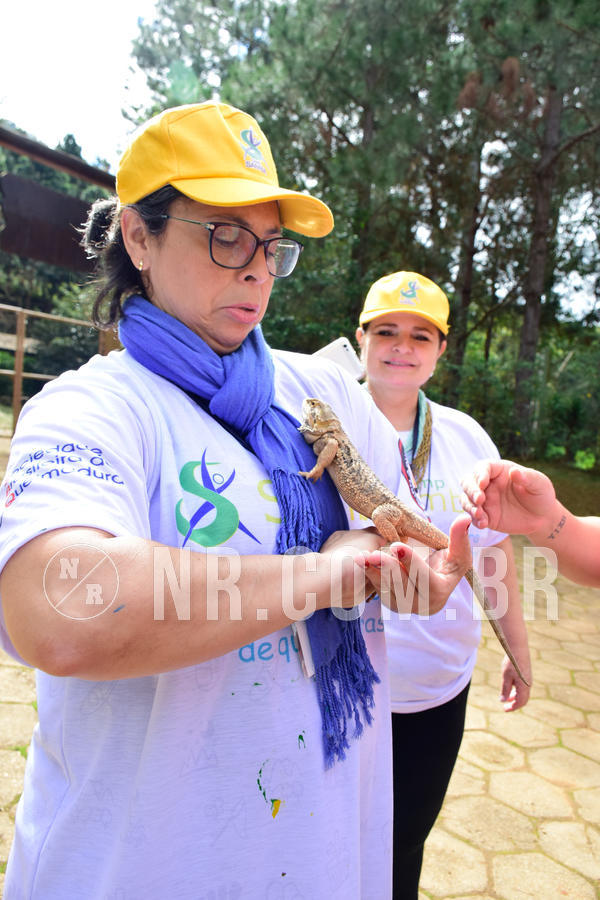 Buy your photos of the eventNR1 - Cl�ssico de 21 a 24/06/18 on Fotop