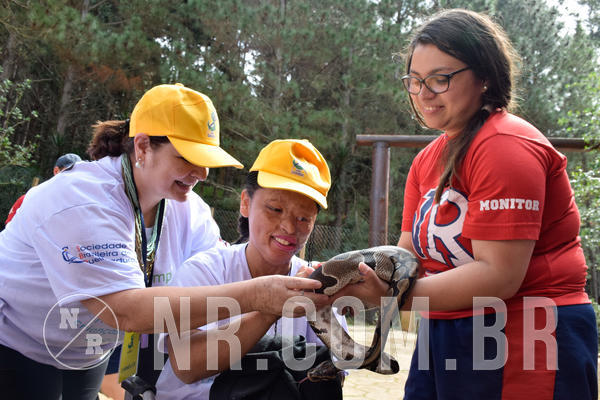 Buy your photos of the eventNR1 - Cl�ssico de 21 a 24/06/18 on Fotop