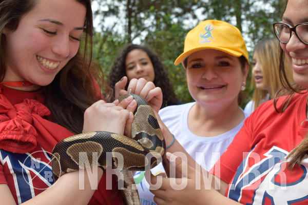 Buy your photos of the eventNR1 - Cl�ssico de 21 a 24/06/18 on Fotop