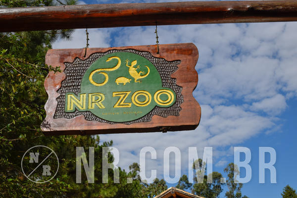 Buy your photos of the eventNR1 - Cl�ssico de 21 a 24/06/18 on Fotop