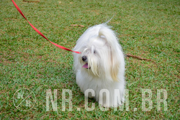 Buy your photos of the eventNR1 - Cl�ssico de 21 a 24/06/18 on Fotop