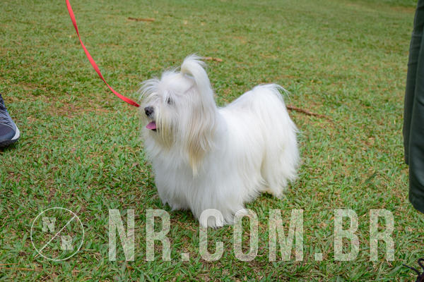 Buy your photos of the eventNR1 - Cl�ssico de 21 a 24/06/18 on Fotop