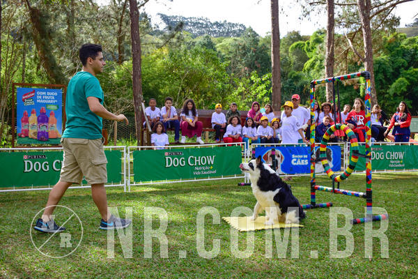 Buy your photos of the eventNR1 - Cl�ssico de 21 a 24/06/18 on Fotop