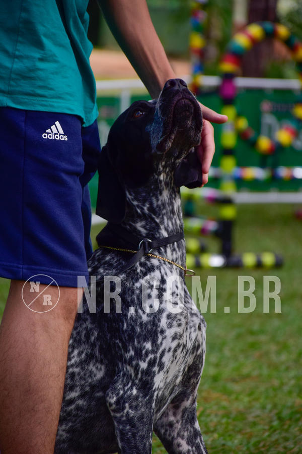 Buy your photos of the eventNR1 - Cl�ssico de 21 a 24/06/18 on Fotop