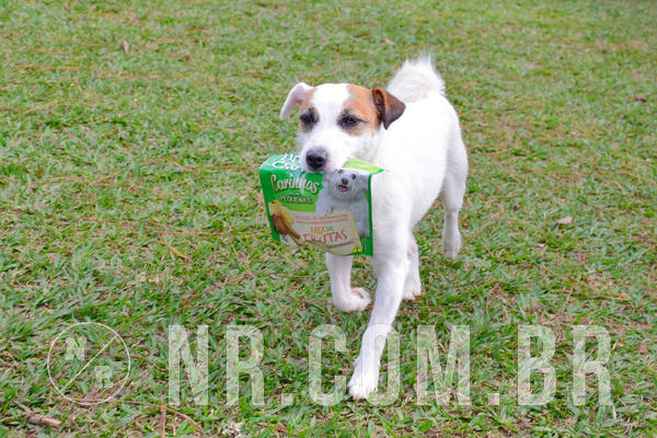 Buy your photos of the eventNR1 - Cl�ssico de 21 a 24/06/18 on Fotop