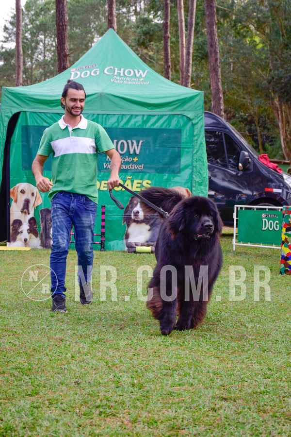 Buy your photos of the eventNR1 - Cl�ssico de 21 a 24/06/18 on Fotop