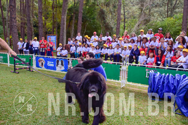 Buy your photos of the eventNR1 - Cl�ssico de 21 a 24/06/18 on Fotop