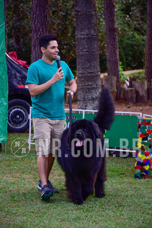 Buy your photos of the eventNR1 - Cl�ssico de 21 a 24/06/18 on Fotop