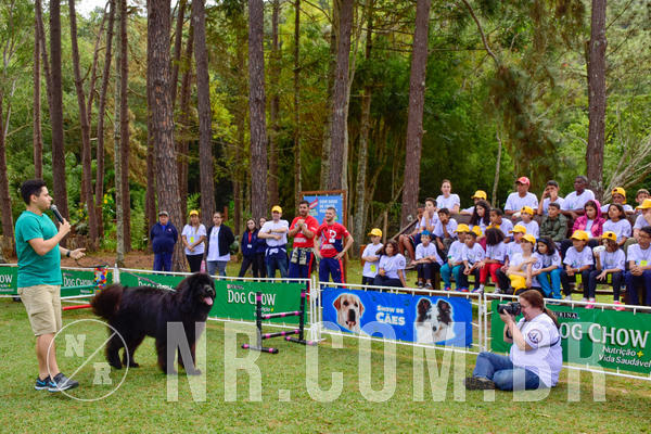 Buy your photos of the eventNR1 - Cl�ssico de 21 a 24/06/18 on Fotop