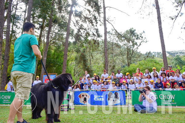 Buy your photos of the eventNR1 - Cl�ssico de 21 a 24/06/18 on Fotop