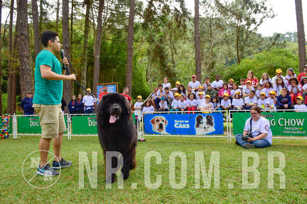 Buy your photos of the eventNR1 - Cl�ssico de 21 a 24/06/18 on Fotop