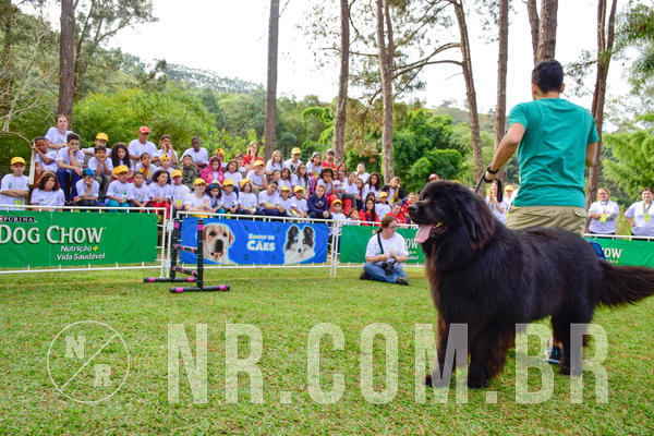 Buy your photos of the eventNR1 - Cl�ssico de 21 a 24/06/18 on Fotop