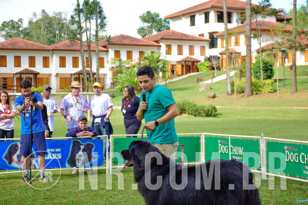 Buy your photos of the eventNR1 - Cl�ssico de 21 a 24/06/18 on Fotop