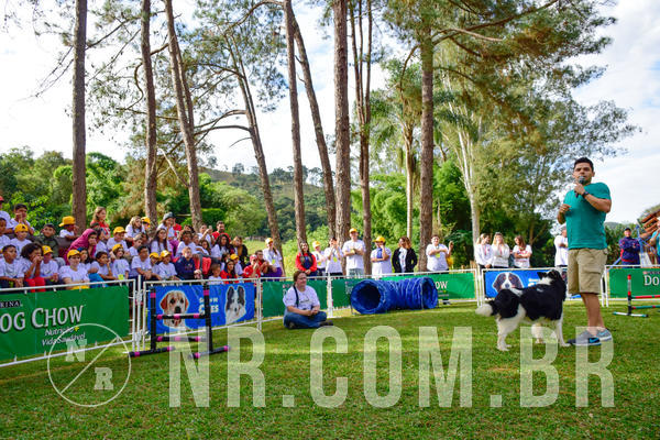 Buy your photos of the eventNR1 - Cl�ssico de 21 a 24/06/18 on Fotop