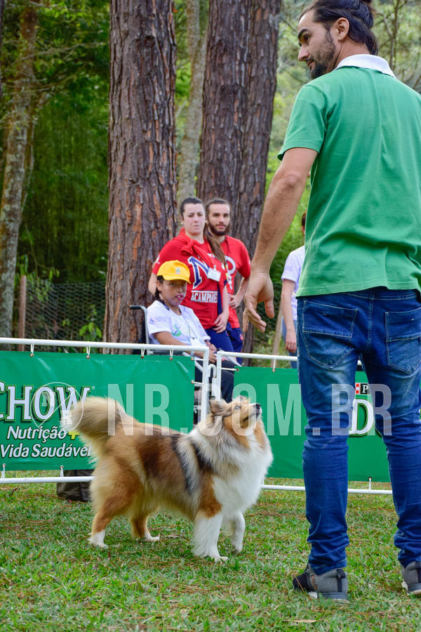 Buy your photos of the eventNR1 - Cl�ssico de 21 a 24/06/18 on Fotop