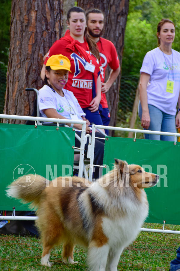 Buy your photos of the eventNR1 - Cl�ssico de 21 a 24/06/18 on Fotop