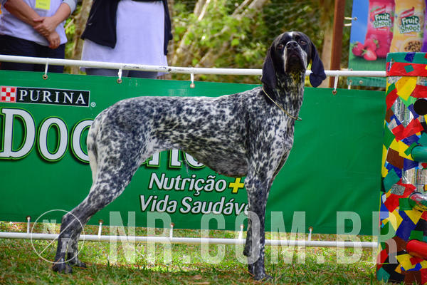 Buy your photos of the eventNR1 - Cl�ssico de 21 a 24/06/18 on Fotop