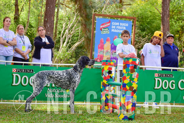 Buy your photos of the eventNR1 - Cl�ssico de 21 a 24/06/18 on Fotop