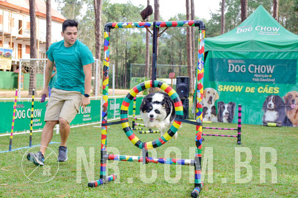 Buy your photos of the eventNR1 - Cl�ssico de 21 a 24/06/18 on Fotop